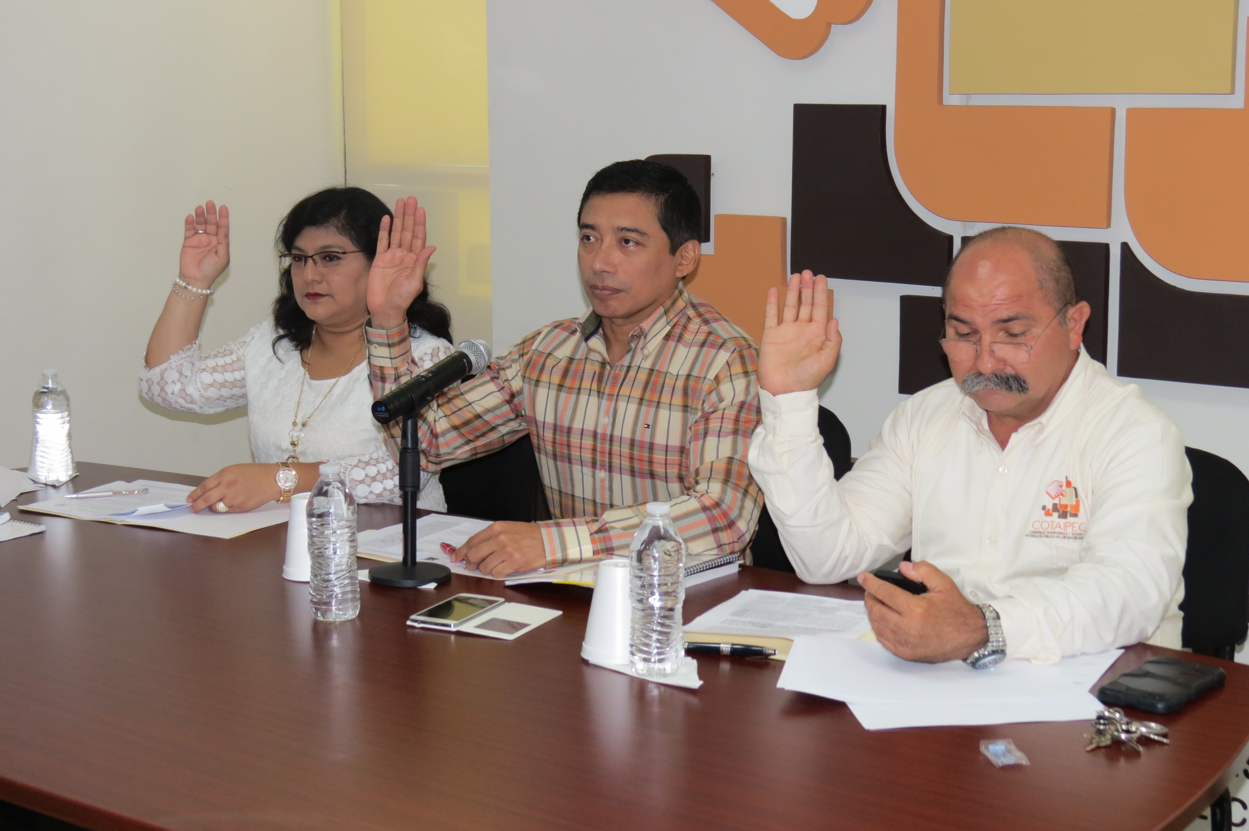 modulos/noticias/archivos/245/files/IMG_0377.JPG
