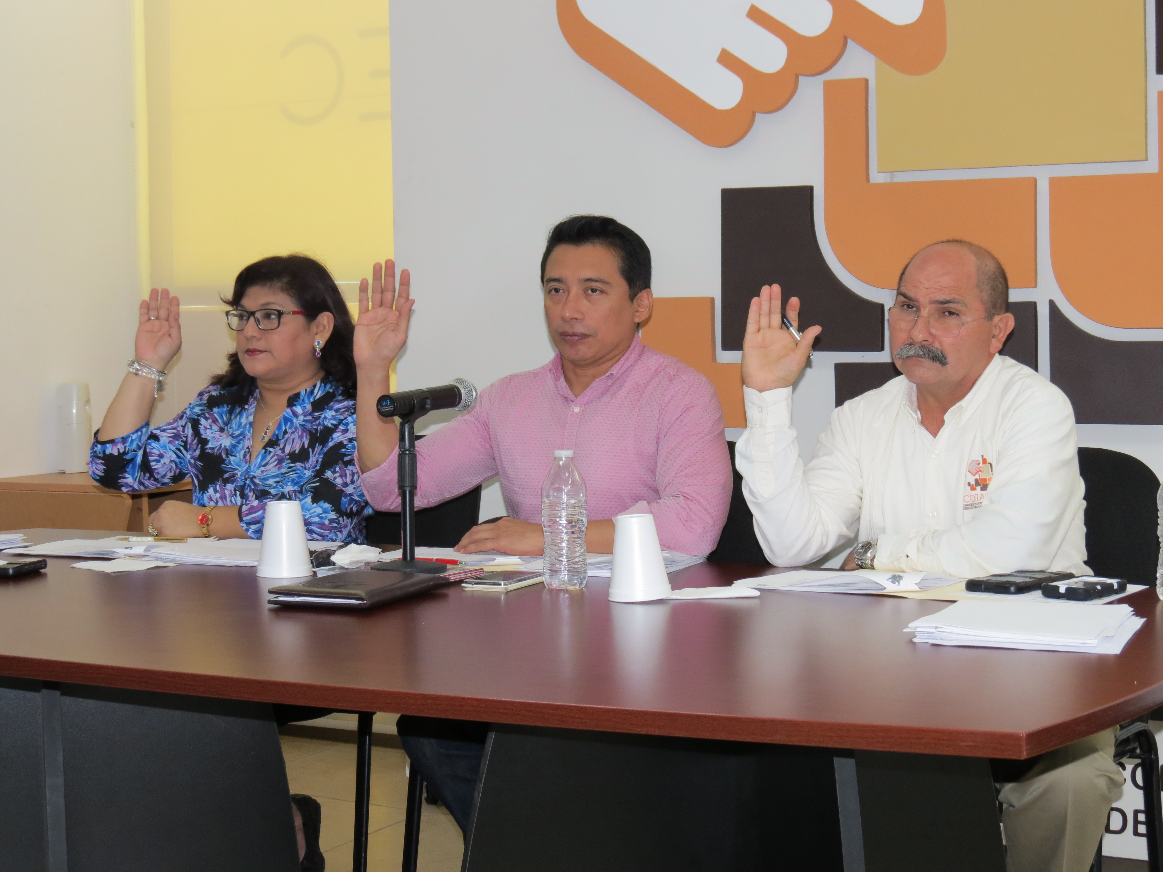 modulos/noticias/archivos/301/files/IMG_2486.JPG