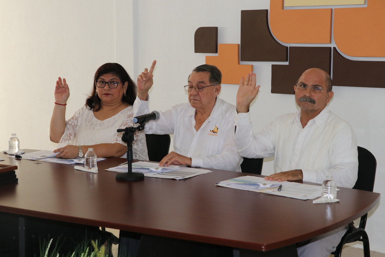 modulos/noticias/archivos/444/files/IMG_4875.JPG