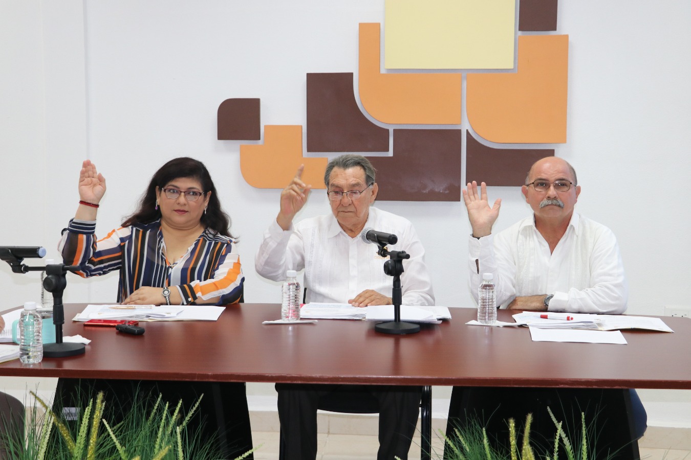 modulos/noticias/archivos/485/files/IMG_7529.JPG