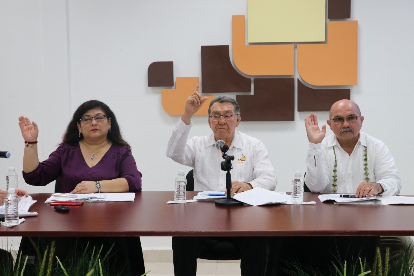 modulos/noticias/archivos/486/files/IMG_8086.JPG