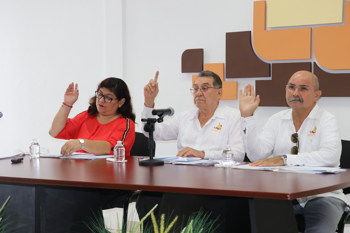 modulos/noticias/temporal/5b2Ja9JT/files/IMG_4568.JPG